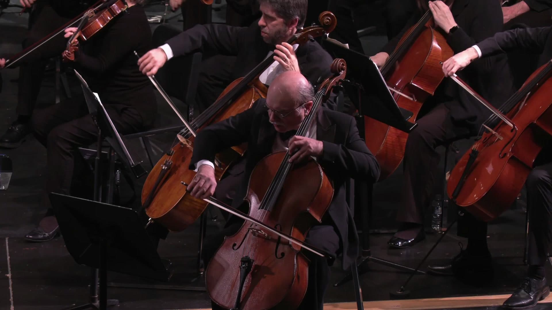 Cellists performing together, centered on one musician