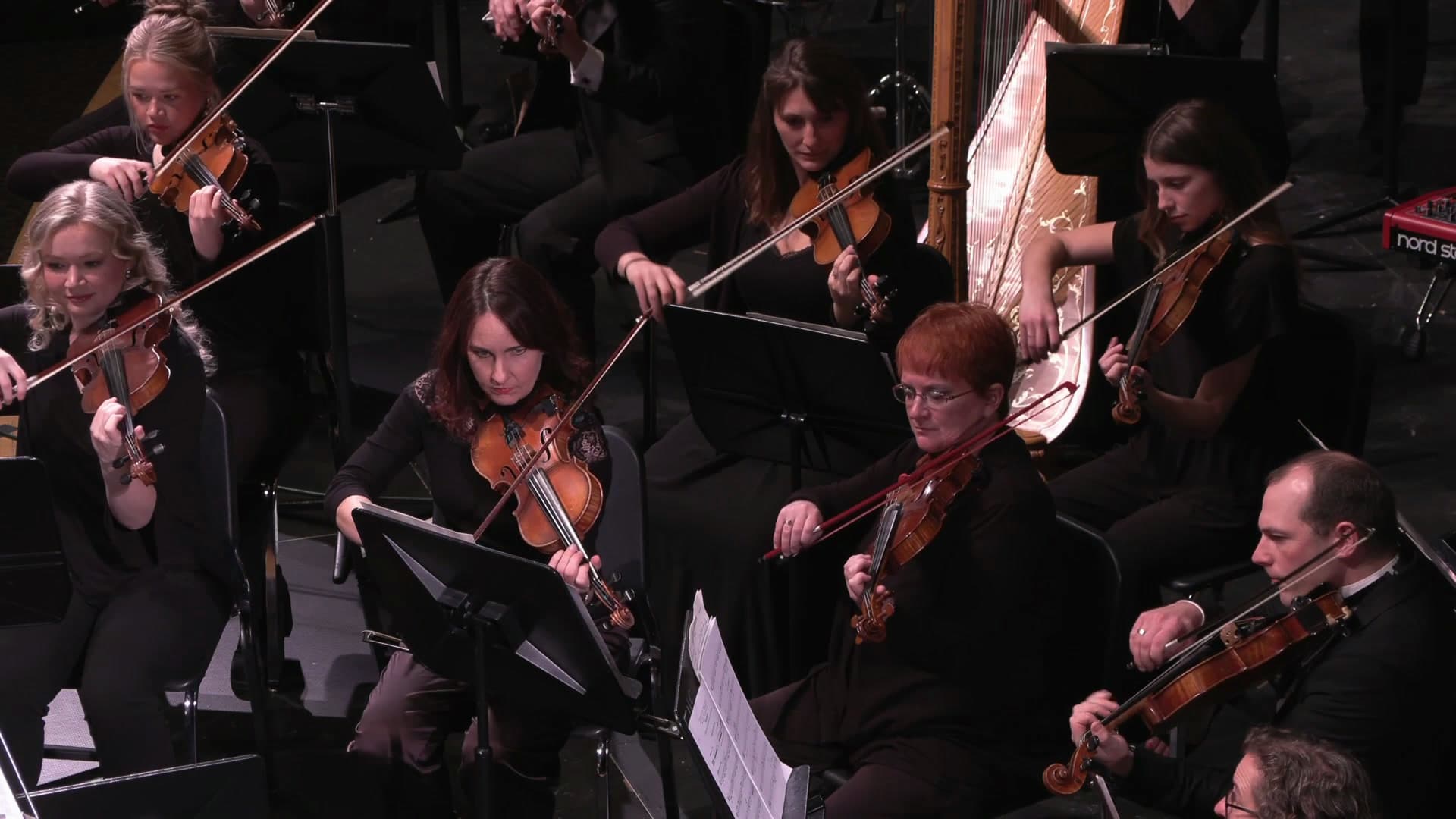 Violinists performing together in the orchestra